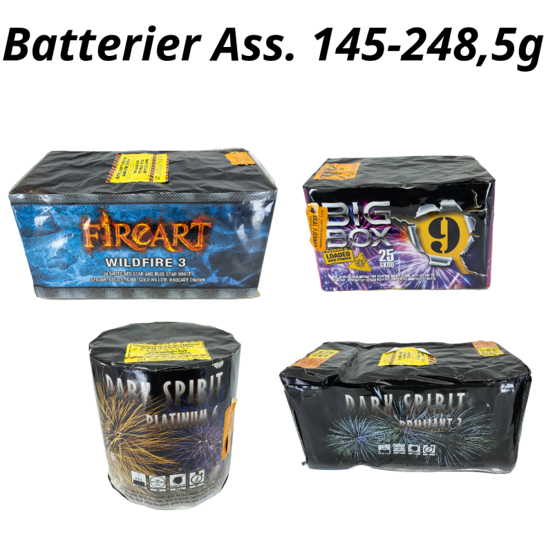 Ass. Batteri 100 Kr