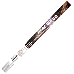 *NYHED SFAC* 7008 - Here We Go